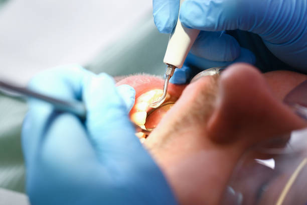Best Orthodontic Emergency Dentist in Williamston, MI